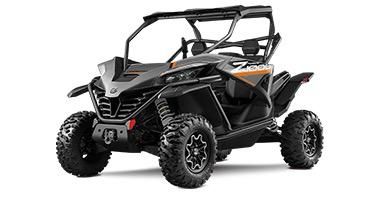 1000 cc BUGGY 2 seats